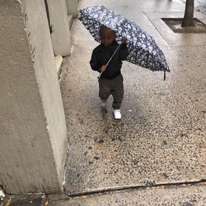 Meet your Posher, Lavelle